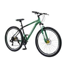 Bicicleta pequeña